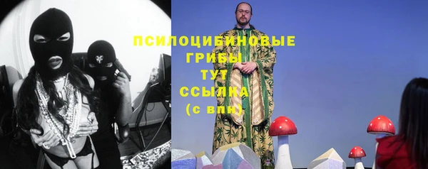 мет Алексин