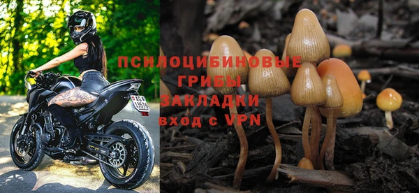 спайс Абинск