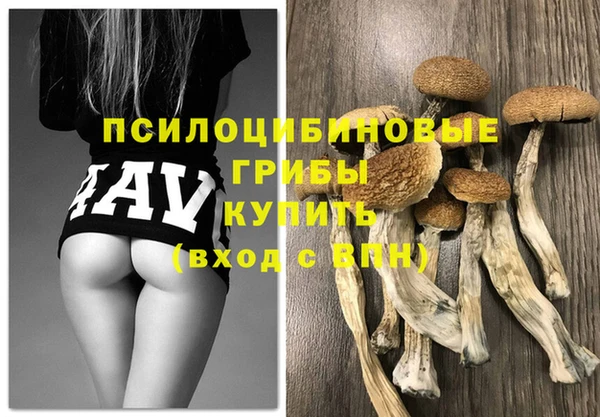 спиды Абдулино