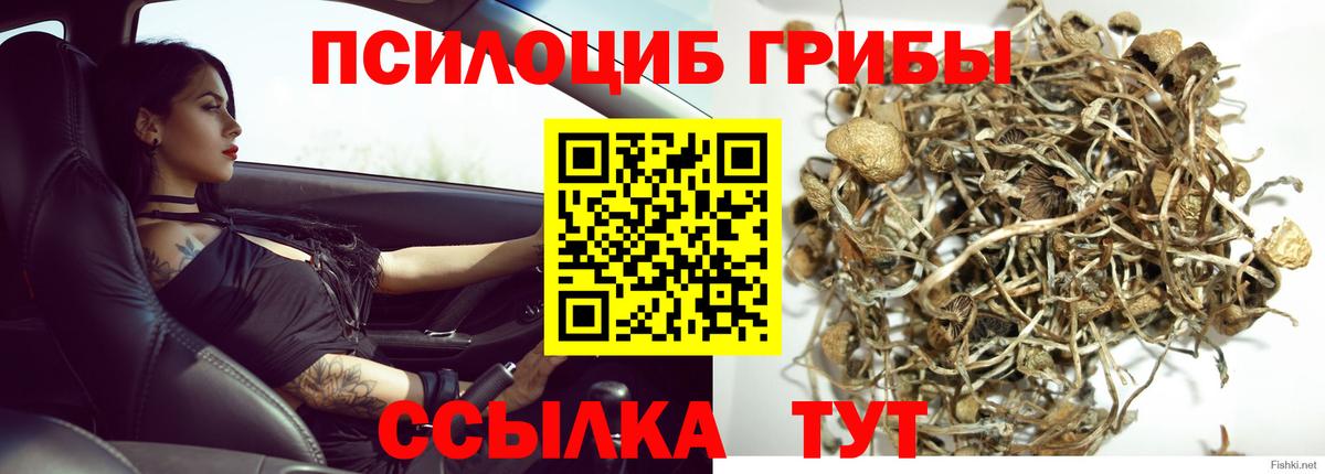 Заринск  Псилоцибиновые грибы мицелий  Галлюциногенные грибы мицелий  Вход с VPN 